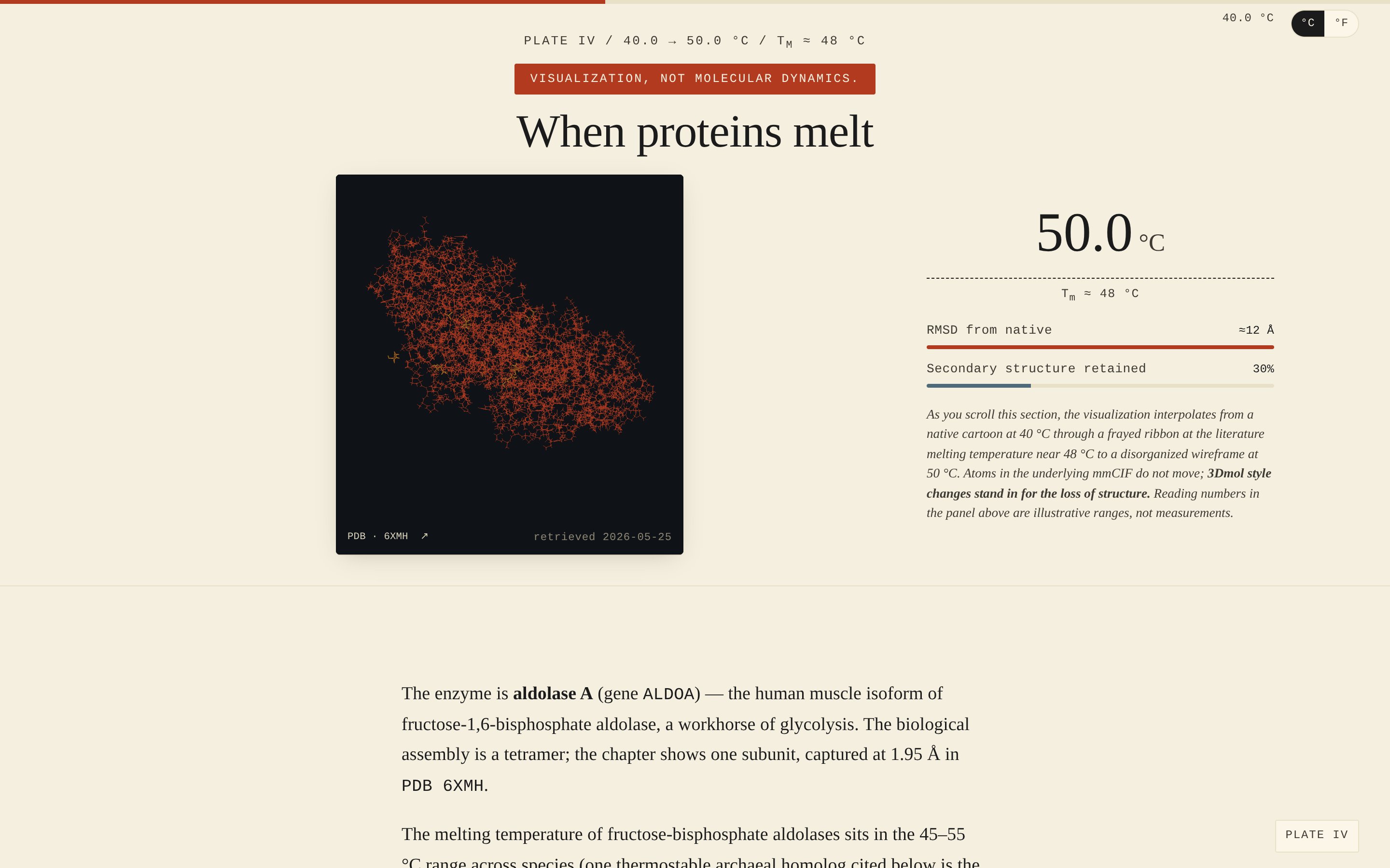 Chapter 4 on heat-protein-lab.pages.dev. A 3D wireframe rendering of human aldolase A (PDB 6XMH) at peak denaturation on the left, a panel reading "50.0 °C / T_M ≈ 48 °C / RMSD ≈12 Å / Secondary structure retained 30%" on the right, and a red disclaimer badge at the top.