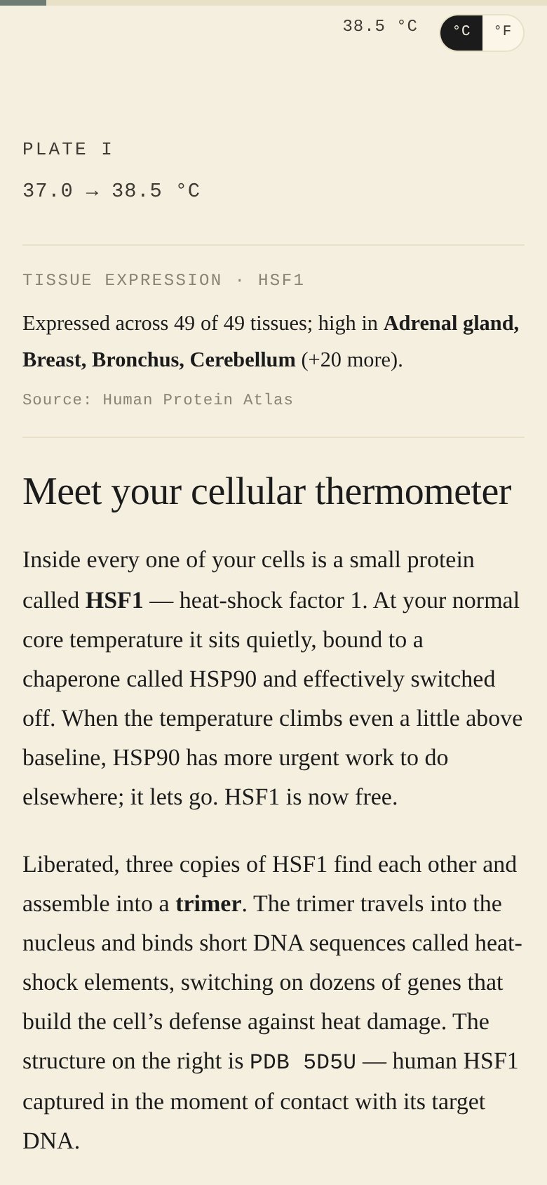 A 390 × 844 screenshot of Chapter 1 on a phone-shaped viewport. The three-column desktop layout collapses to a single column with the marginalia floated above the body and the 3Dmol viewer below it.